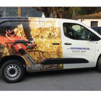 carwrapping-scheiben-folie-grundbichler-bus